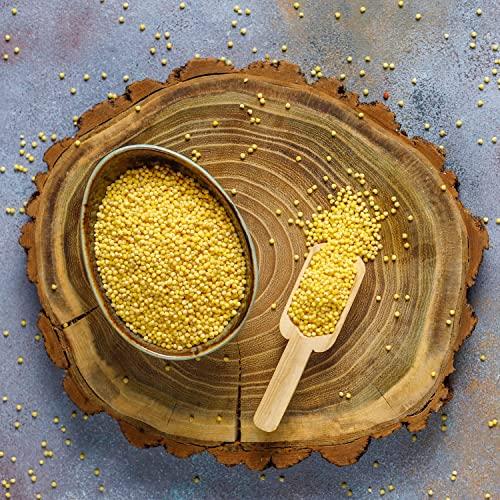 PH PHs Organic Foxtail Millet Flour 5 Kg USDA NPOP Certified | Gluten Free | Organic Thenai / Korralu / Kangni Millets Whole Grains Pack | Low GI High Fibre | Helpful in diabetes