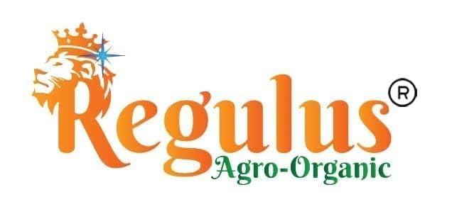 Regulus Regulus Agro Organic Liquid Jaggery - 1KG | Sugarcane Jaggery Syrup 100% Chemical Free | liquid jaggery kakvi - Pack of 1