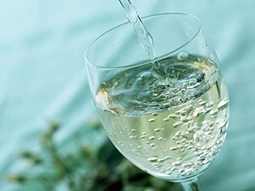 ARL International ARL International Bisleri Club Soda 750 Ml | Pack Of 12 Bottles (Price Including Shipping Charge)