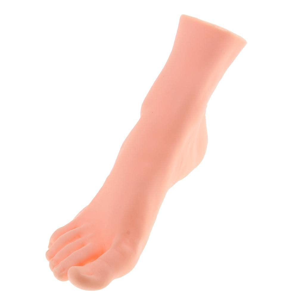 Expora EXPORA Rubber Vivid Retail Male Right Foot Mannequin Feet Shoes Dummy Model Display