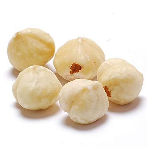 AWFAAKI Awfaaki Raw Hazel Nut | Premium Unsalted Whole Hazelnuts Turkish (250 g)