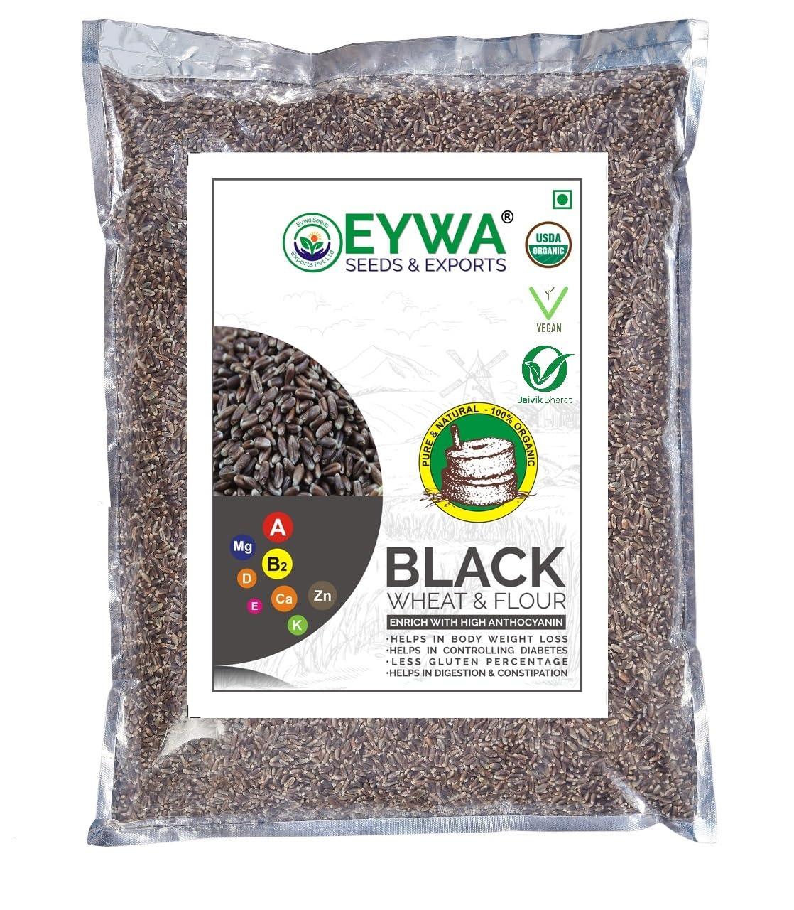 Eywa Seeds & Exports Pvt Ltd BLACK WHEAT GRAINS (15 KG) for eating and cooking | kale gehu daane | Produce of India from Organic Farms | BY EYWA