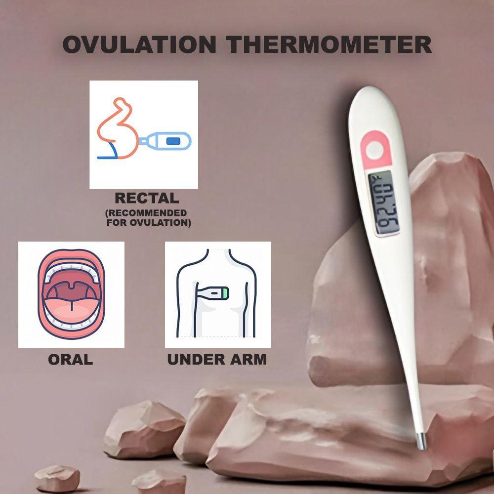 B-Arm B-Arm Basal Body Digital Ovulation Thermometer with 2 decimal places - Pregnancy Planning and Temperature Tracking | Get your Basal Body Temperature for Ovulation Tracking | ABS Plastic