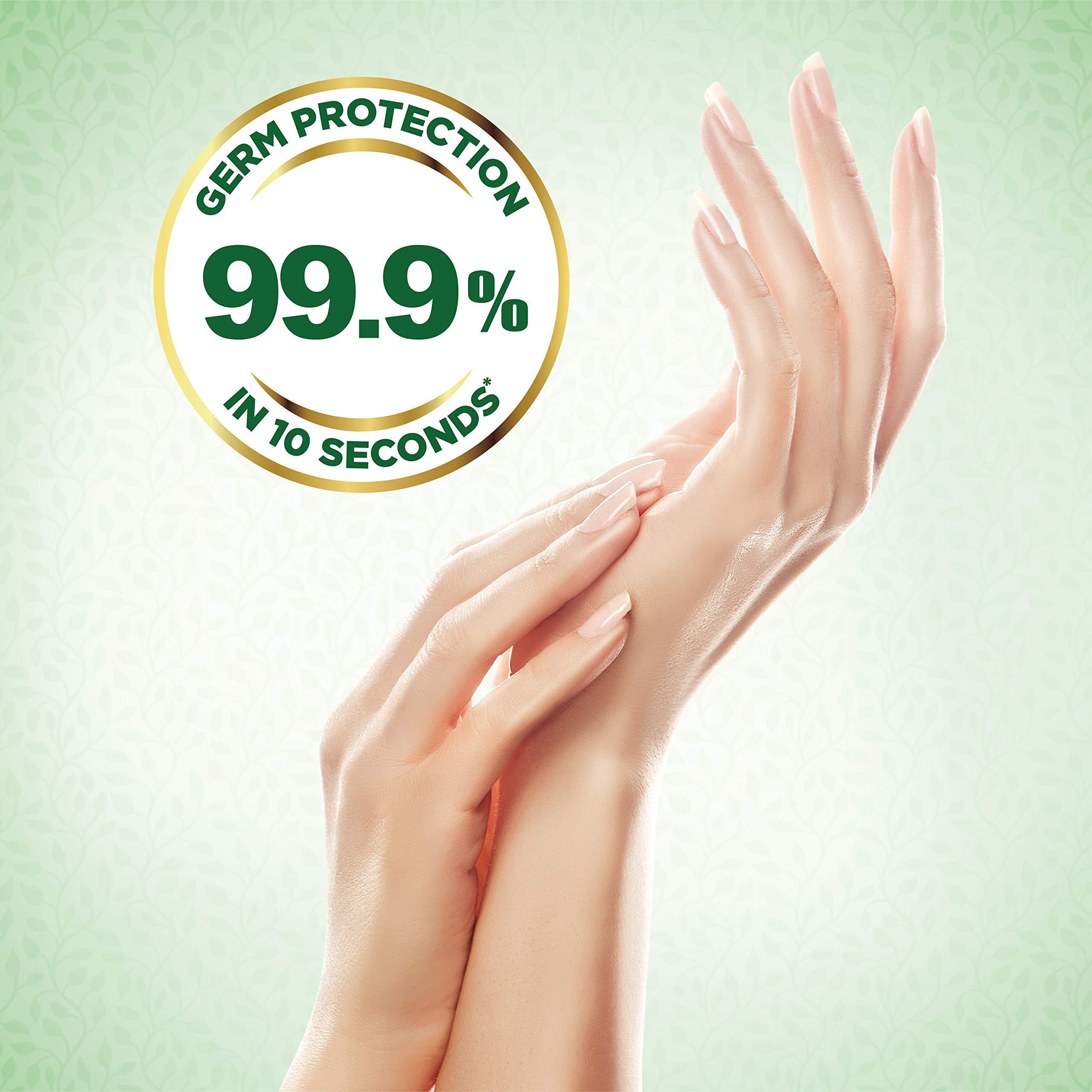 MEDIMIX AYURVEDIC Medimix Ayurvedic Nature Care Hand Wash Refill With Neem,Tulsi&Aloe Vera 175 Ml (Combo Pack Of 2)|For Soft&Odour-Free Hands|99.9% Germ Protection|Shop Herbal|Natural|Soap-Free|100% Vegan