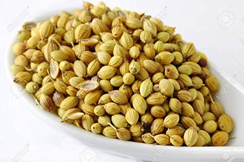 Dry Fruit Hub Dry Fruit Hub Coriander Seed 1Kg, Coriander, Coriander Seed, Dhaniya Seeds, Dhaniya Dal, Dhaniya Coriander Seeds (Coriander Seeds 1Kg)