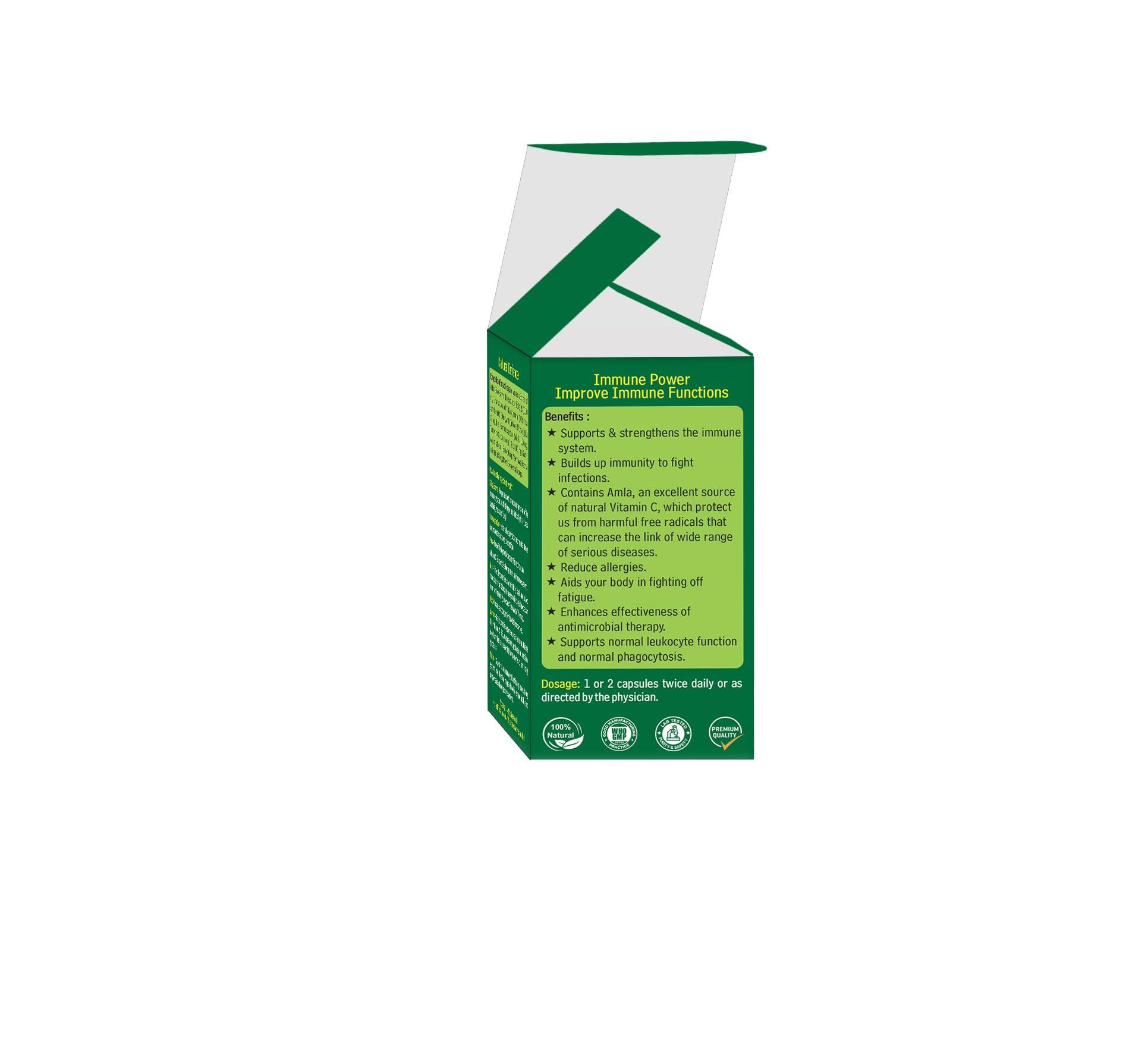 Generic Puck Sterilized Cream For cooking, dips & dessert (Pack Of 2)