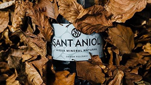 Sant Aniol Sant Aniol Natural Mineral Water | 750ml Glass Bottle | Volcanic Water | Sourced from Spain