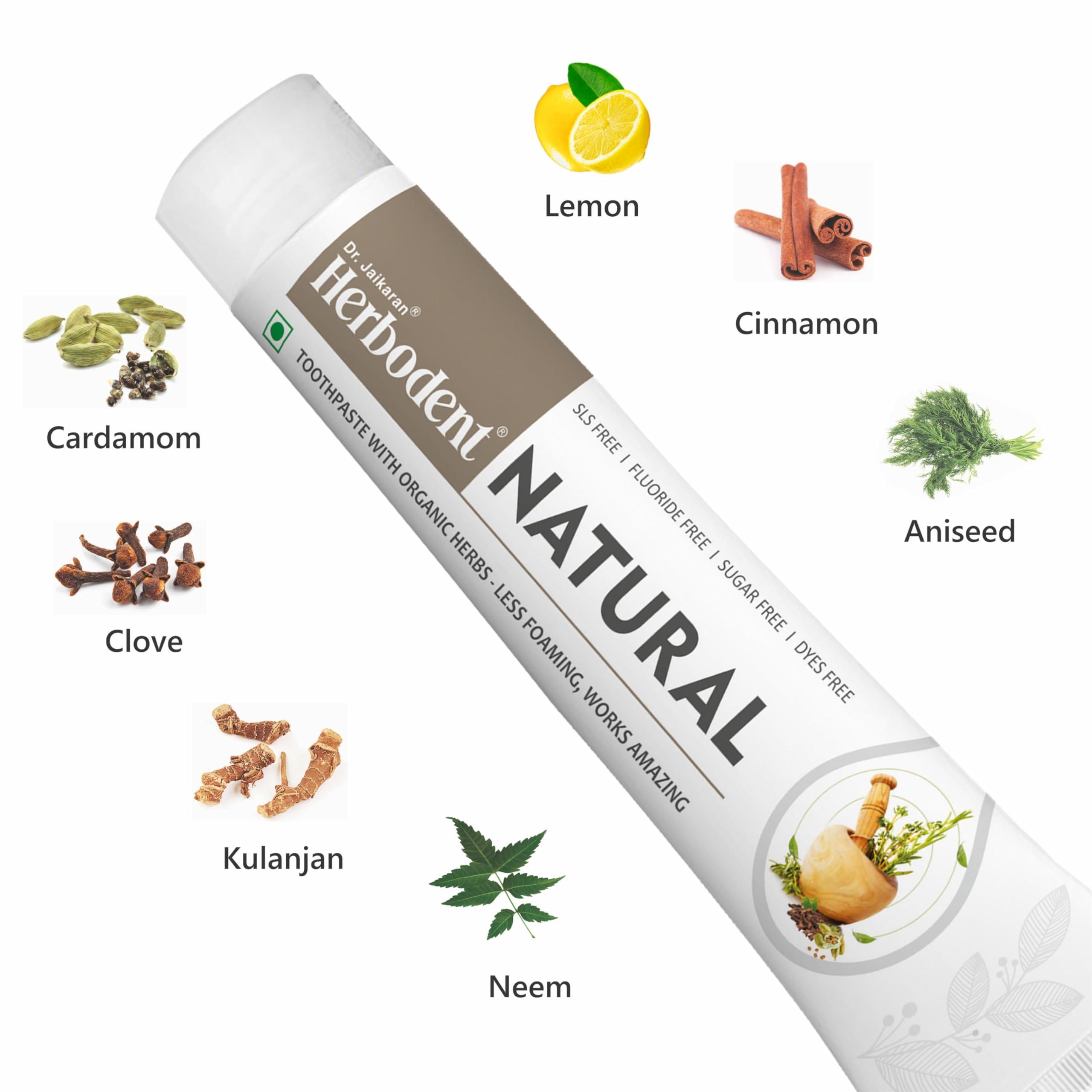 Herbodent Herbodent Natural Toothpaste - 100g Pack of 2 | Less Foaming, Works Amazing | SLS Free | Fluoride Free | Herbal Toothpaste with Neem, Clove & More Herbs