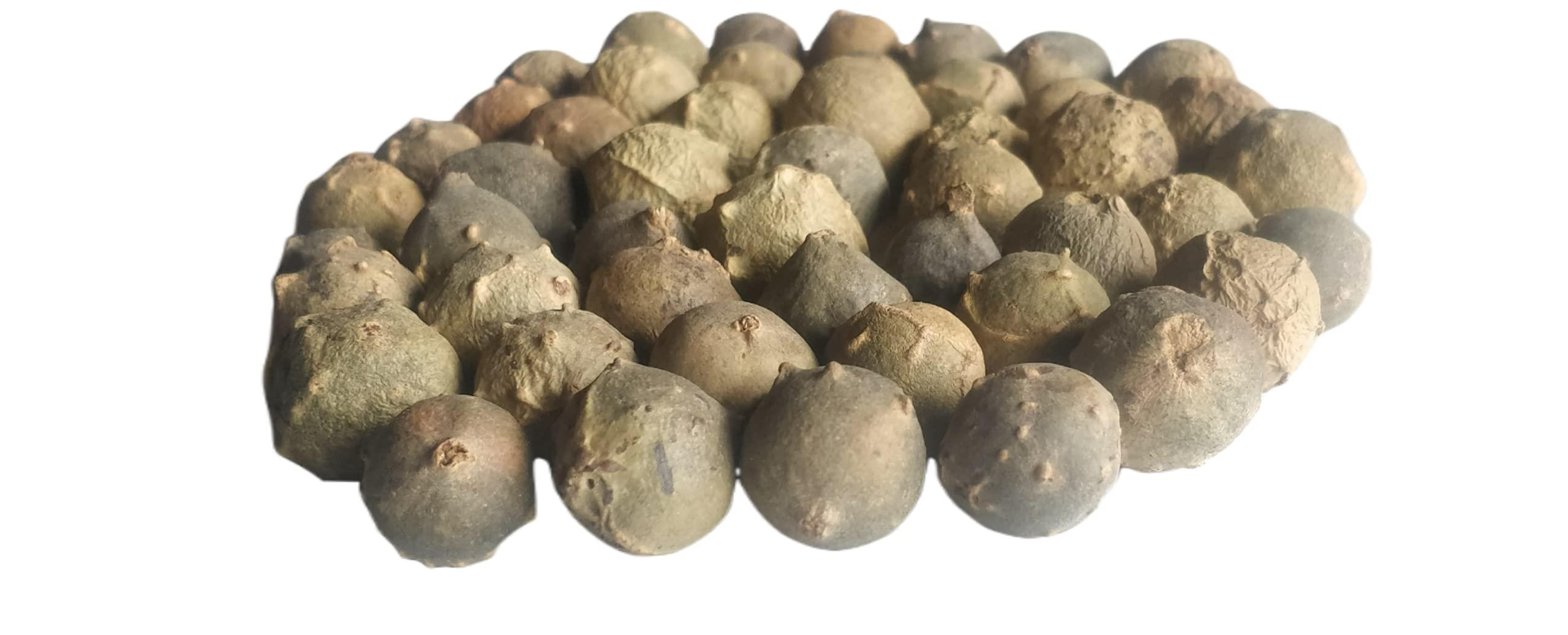 Ayushiv Ayushiv MAJUPHAL (QUERCUS INFECTORIA) - MANJAKANI - OAK GALL - GALLNUTS - Dyer's Oak - BLUE JACK - NUT GALLS (100 GM)