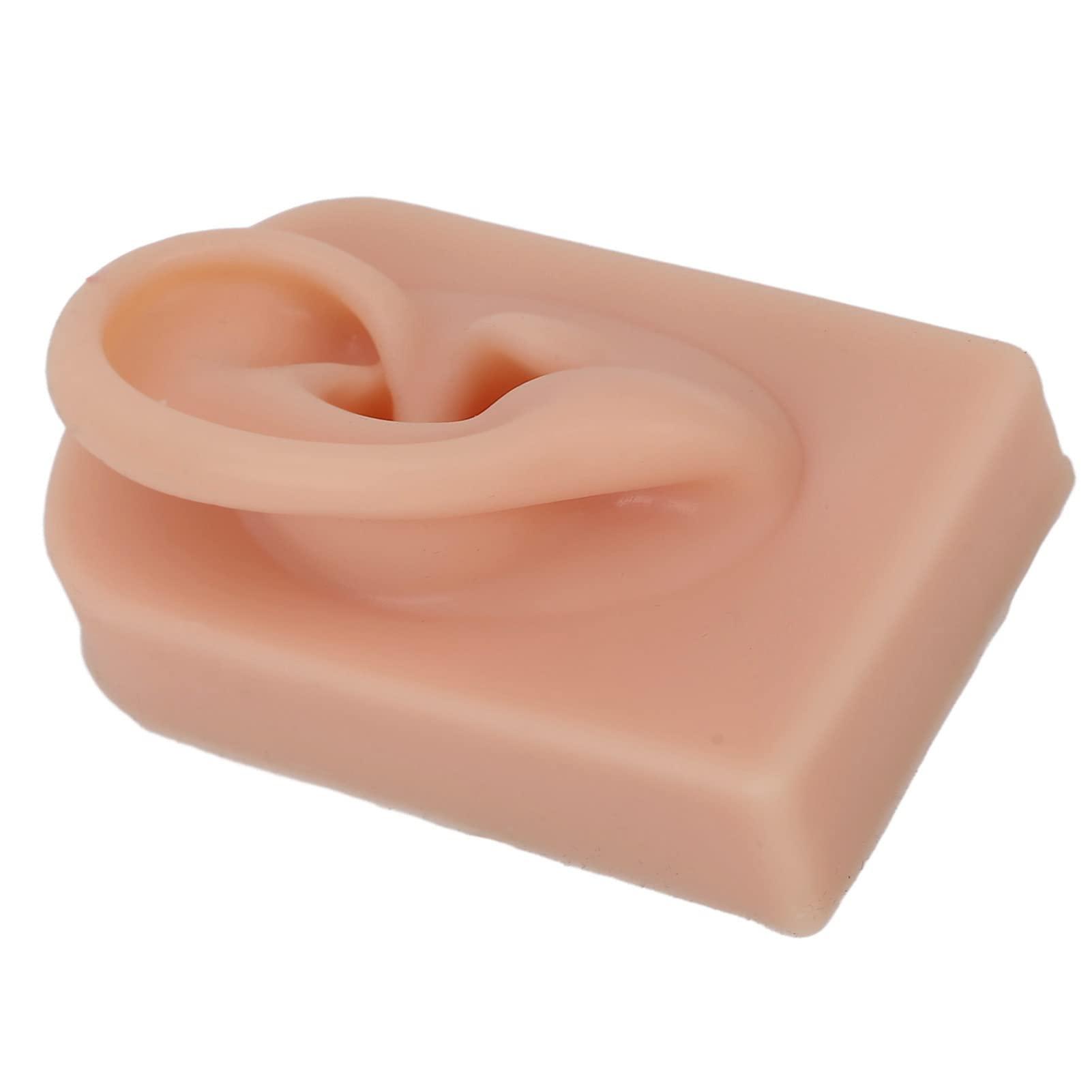 Bannt Fake Ear Model, Easy To Use Right Ear Flexible Silicone Human Ear Model for Earrings Display for Ear Piercing Training Dark Complexion