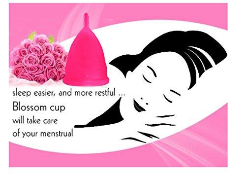 Blossoms Blossom Menstrual Cup (Small, Solid Pink)