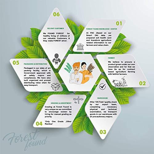 FOREST FOUND Forest Found Gluten Free Low Fat Black Chana JOR Garam Namkeen Snacks for Diet (900 Gram) | Made by Vacuum Roasted Technology, Healthy Gujarati Snack, No Salt and No Masala