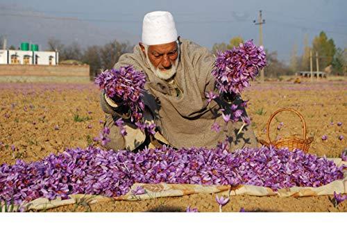 Noor Brand Saffron Noor Brand Saffron Kesar Flowers, 1 Gram, Saffron