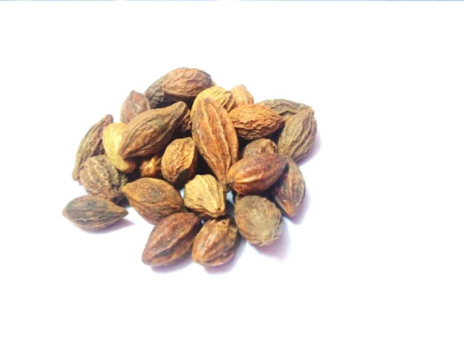 vinarghya Vinarghya - Survari Harad/Suravari Harada/Haritaki/Myrobalan/Hirdo/Pulo Harda/Harre/Hirada/Terminalia Chebula/Harar/Katukka/Karaka 900g