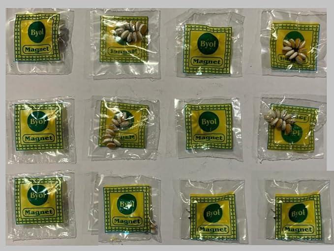 Generic Beyol Magnet - High-Strength Neodymium Magnets for Acupressure, Pain Relief, and Magnetic Therapy - 10 Pack 100PC