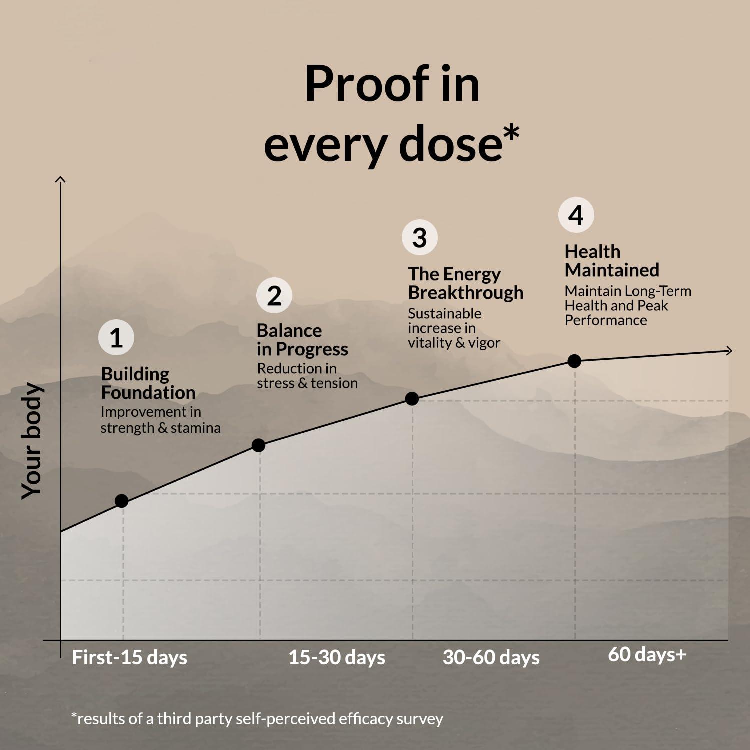 Zingavita Zingavita Himalayan Shilajit Original (750mg) Effervescent Tablets, With Ashwagandha, Gokshura & Safed Musli for Strength, Performance & Muscle recovery, Cardamom Flavour | Ayush Approved | Pack of 1