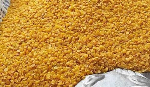 Shri Swastik Organics Shri Swastik Organics Natural Split Kernels Of Mustard | Rai Dal | Rai Kuria | Cracked Mustard Seeds For Pickle | Rai Ki Dal | Yellow Mustard | Sarson Seed (200 Gram)