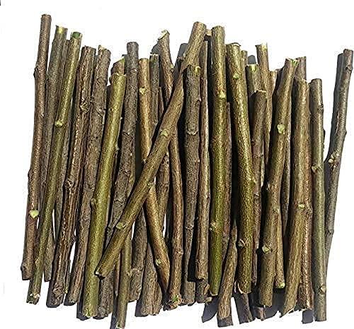 Yashvin Yashvin Ayurvedic Natural Organic Neem Datun (Pack of 40 Pieces) Organic Toothbrush Nim Tree Twigs Chew Sticks for Brushing Teeth Removes Bad Breath, Relieve Tooth Ache, Healthy Toothpaste || T28