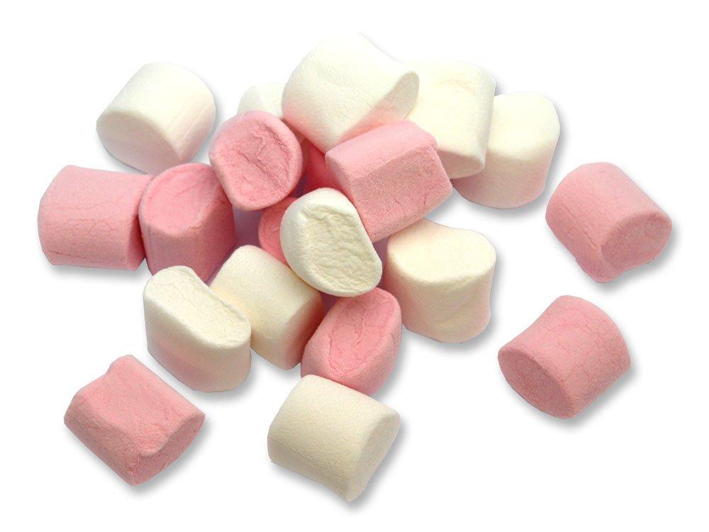 ORGANIC NATURE Organic Nature Marshmallows Pure Veg 150 Pieces Assorted Fruit Flavours Mini Marshmallow Candy Vegan Perfect for Kids and Adults