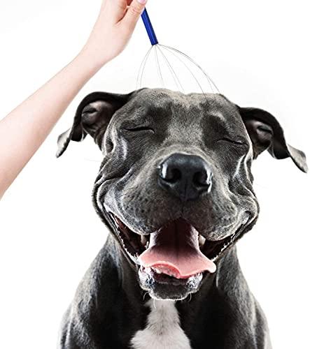 SEI REGINA Sei Regina Body Back Scalp Massager, Head Scratcher, Manual Head Massager for Stress Relief, Relaxing Scalp Scratcher, Tingler for Gentle Hair Stimulation