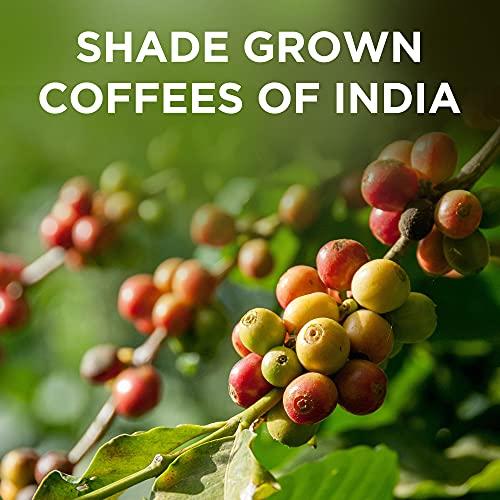 VERO VERO, Nespresso Compatible Coffee Pods, Limited-Edition "Baba Budangiri Coffee Capsules", Intensity 11 of 12, Single Origin Arabica Coffee, Dark Roast, Freshly Roasted Coffee Pods