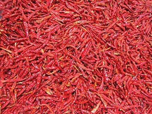 MR & SONS MJR Dry Guntur Mirchi - Hot Dried Red Chilli - 500 Grams/Sabut lal Mirch/Red Chilli Whole