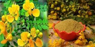 7006 HERBALS 7006 Herbals 100gm Aavaram Poo Powder/SennaAuriculata/Pack of 3