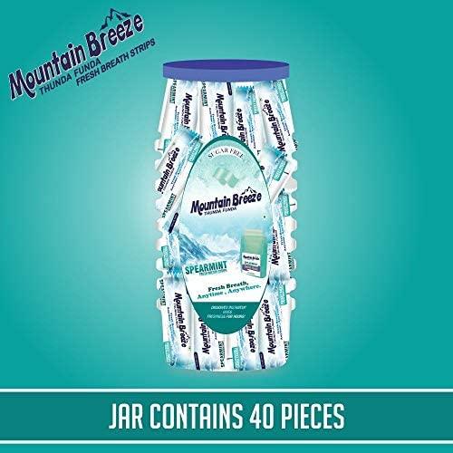 Mountain Breeze Mountain Breeze Sugar-Free Spearmint Fresh Breath Strips JAR 7 Strips each cassette (Pack of 40) 40 x 7 = 280 Strips