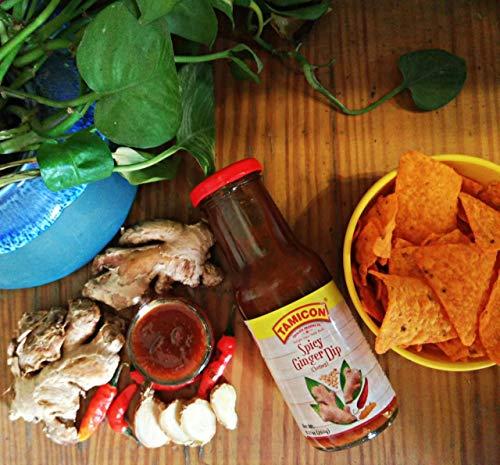Tamicon Tamicon Spicy Ginger dip