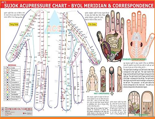 ACi ACi Acupressure Sujok Five Star Magnet Sujok Cluster Magnet Sujok Therapy Treatment Use (2 Packet) Total-20Pcs, Black