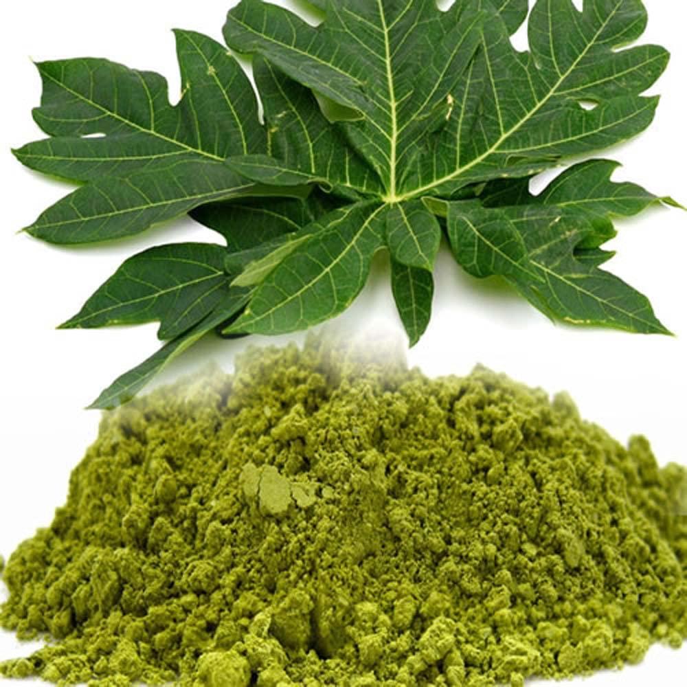 Generic Papaya Leaf Powder-Papita Patta Powder papeeta -Raw Herbs-Papita Leaves Powder-Jadi Booti-Single Herbs (100 Gram)