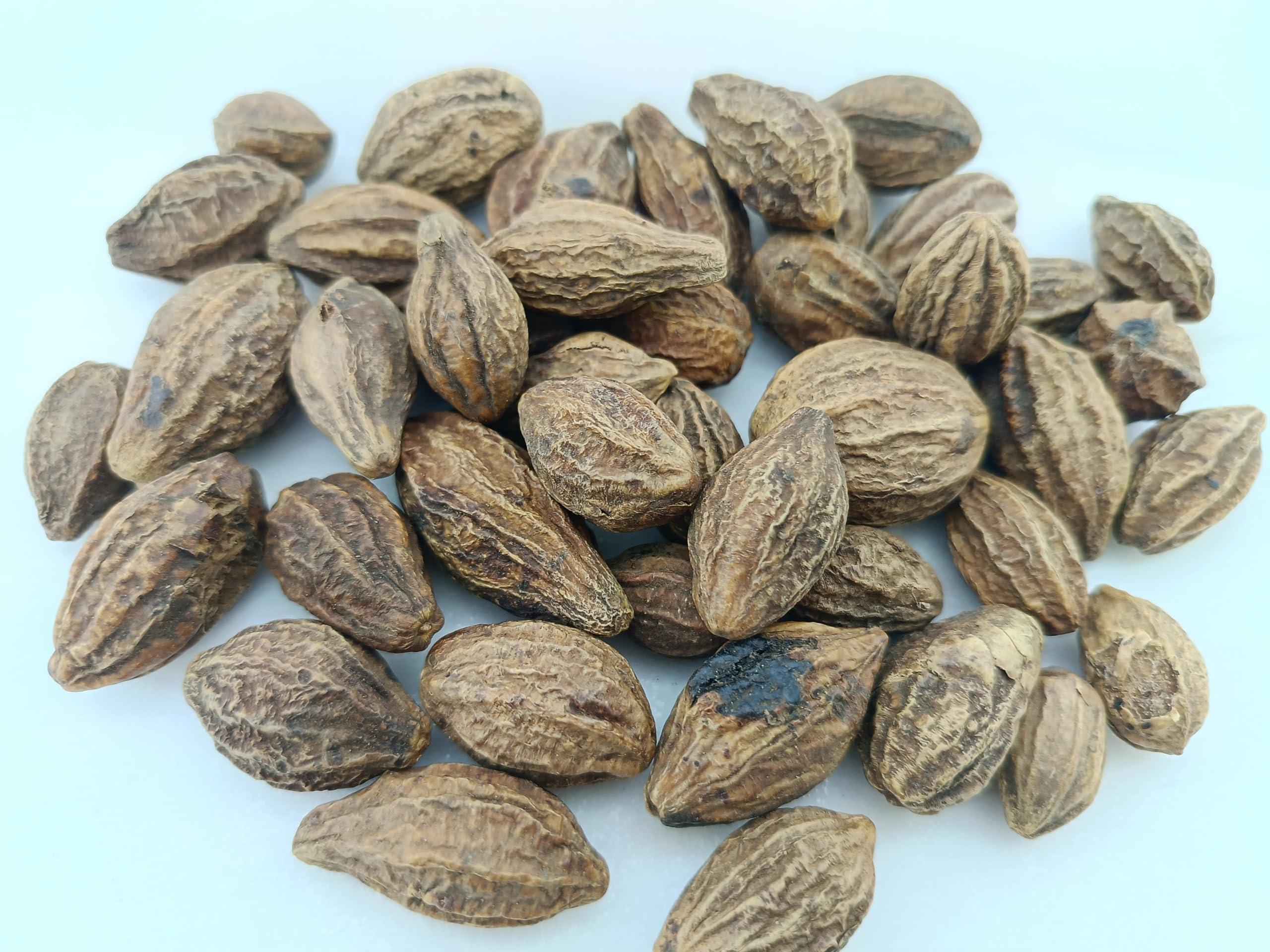 advancedestore advancedestore Badi Harad Whole - 150 Gm - Aralu | Inknut | Haritaki | Kadukkai - Harar - Terminalia Chebula - Karakkaya (Whole)