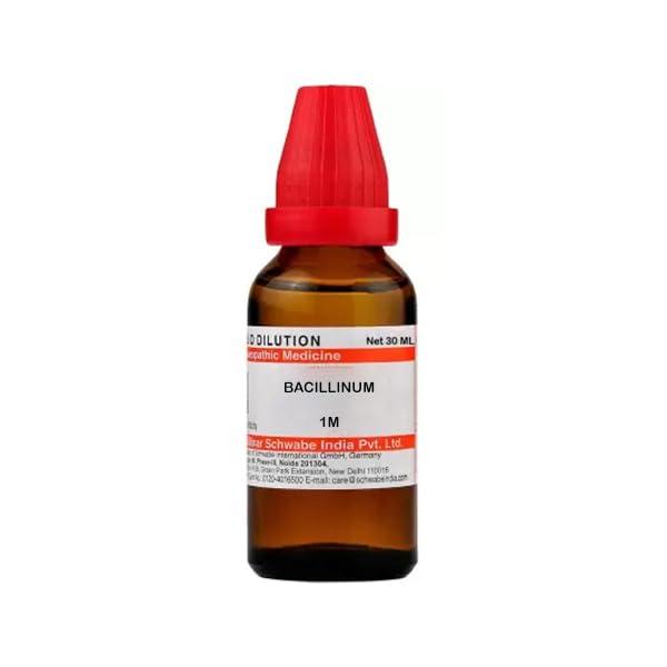 Homoeomeds BACILLINUM 1M 30 ML SCHWABE