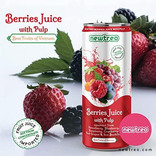 Newtreo Newtreo Berries Juice With Pulp | Imported from Vietnam | Strawberry, Blueberry, Raspberry, Cranberry, Red Grapes & Sea Buckthorn Juice | 12 x 250ml cans | No concentrates or preservatives added