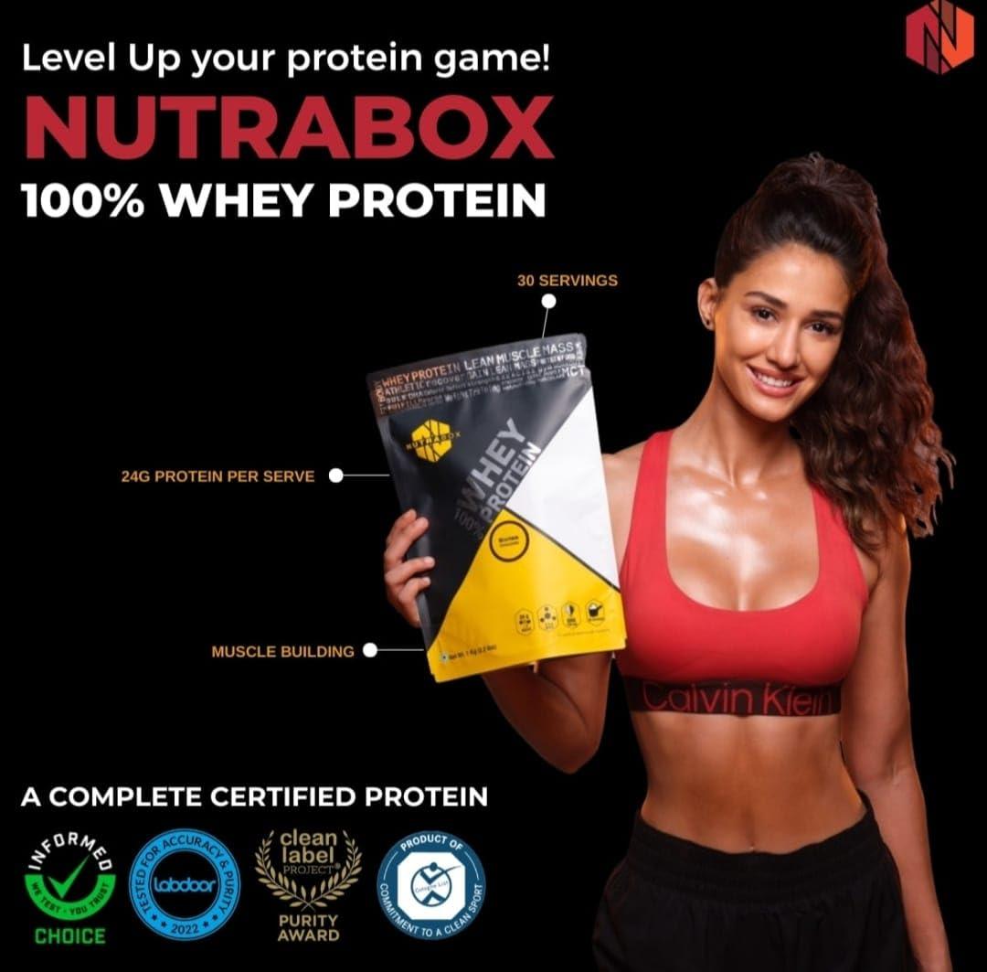 NUTRABOX Nutrabox 100% Whey Protein Powder (Chocolate Peanut butter)