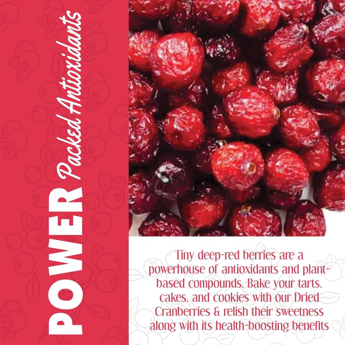 20-20 DRY FRUITS 20-20 Dry Fruits Dried Cranberries - High in antioxidants - Gluten Free & Vegan Dried Berries -200 g