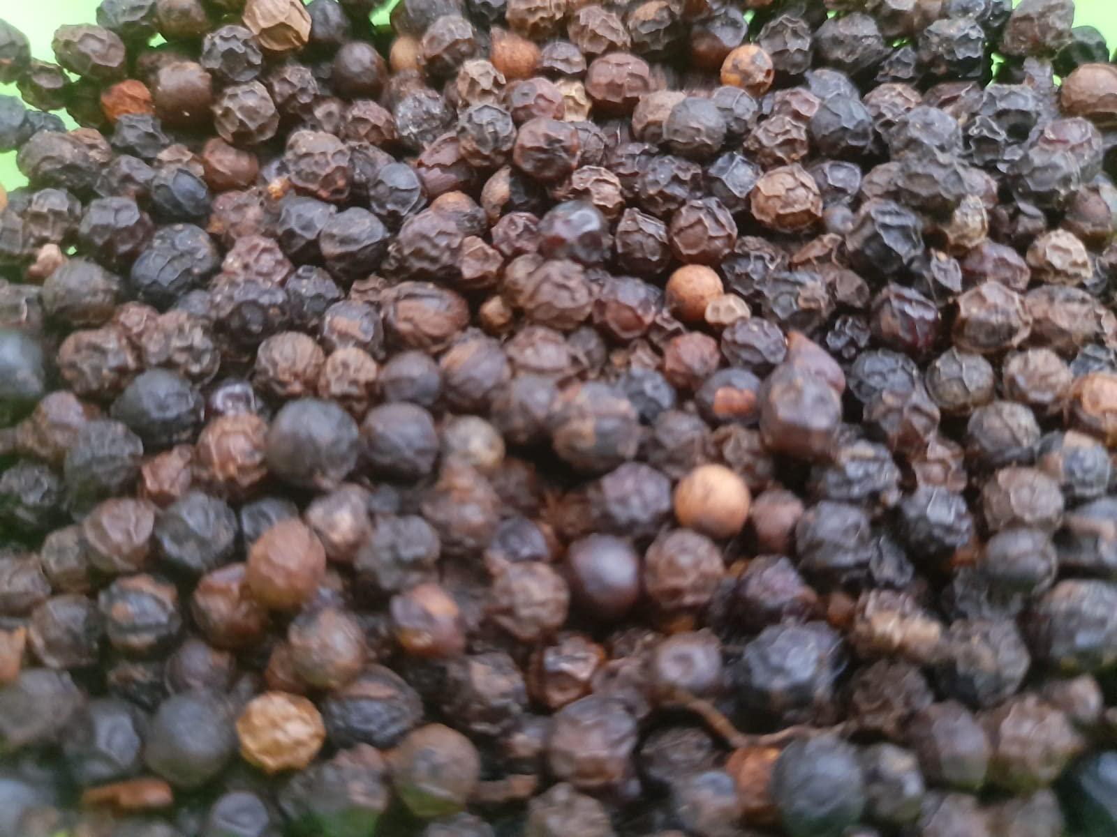 Generic Black Pepper Kerala Kali Mirch Kurumulag 200GM (Large)