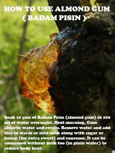 DIETS ORGANICS Diets Organics Almond Gum/Badam Pisin/Gond Katira/Badam Gum- (100g)