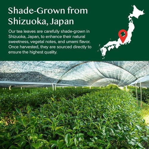 VAHDAM VAHDAM, Matcha Green Tea Powder, 50g 100% Pure Japanese Matcha Green | Matcha Tea Sourced from Shizuoka, Japan | Classic Culinary Grade Matcha for Smoothies, Latte