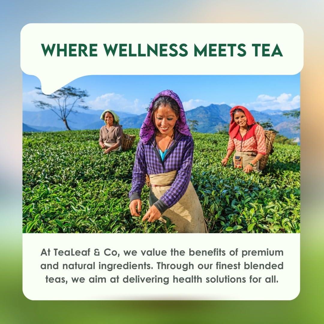 Tea Leaf & Co. Tea Leaf & Co. Sweet Hibiscus Cinnamon Green Tea (30 Pyramid Tea Bags Pack of 2) | Improves Immunity | Antiseptic Properties | Boost Sleep Quality - Brew Hot Tea or Iced Tea