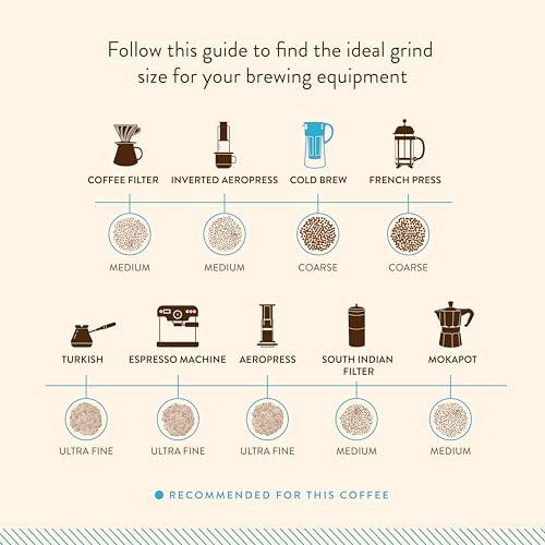 Blue Tokai Coffee Roasters Blue Tokai Coffee Cold Brew Blend Bold - Medium Dark Roast (Whole Bean) 500 g | Made with 100% Specialty Grade Arabica Freshly Roasted Coffee Beans