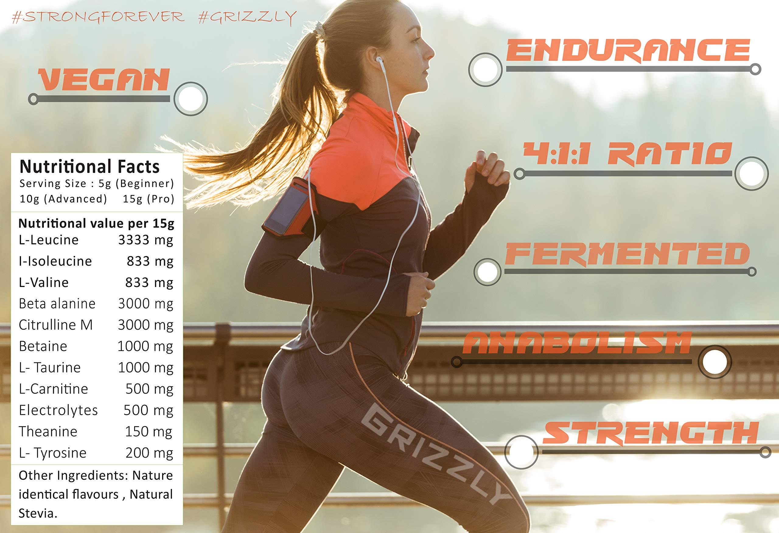 Grizzly Nutrition Grizzly Nutrition True Endure -Bcaa 4:1:1 Pro Ratio (V6 Genesis/ 6th gen 2023) 300 grams upto 60 servings -with Citrulline, B-Alanine, Taurine, L-carnitine with 11 vitality boosters - Platinum grade ( Mexican pineapple salsa Flavoured )