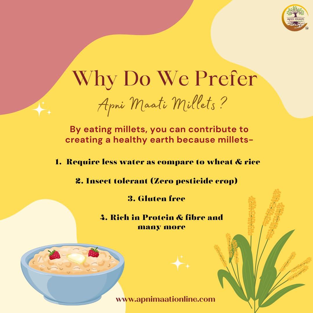 Apni Maati Apni Maati Kodo Millet Seed for Sowing (2000 gm; Koden/Kodra/Koovarugu)