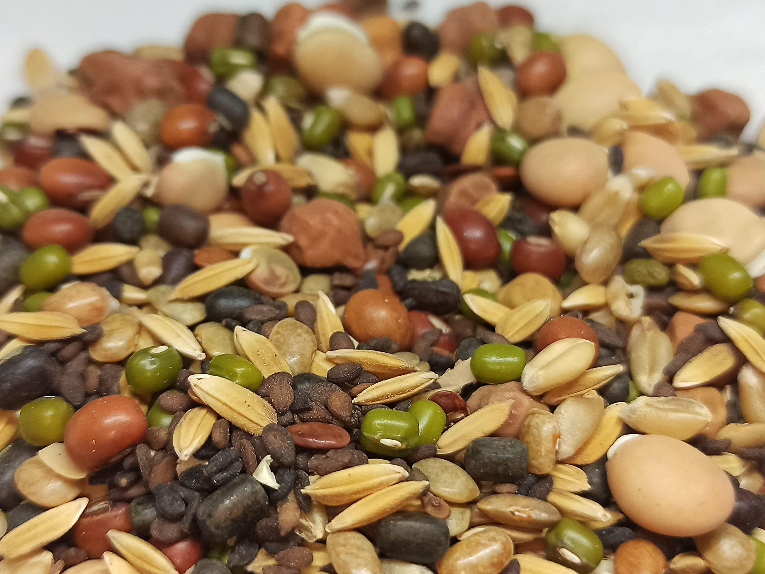 Generic NATURALIFE\'S-*NAVATHANIYAM*- (500 GRAMS)