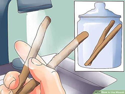 SIWAK AL SALAM AB WORLD CLASS® Natural Herbal Toothbrush Miswak Sticks - Pack of 10 Sticks