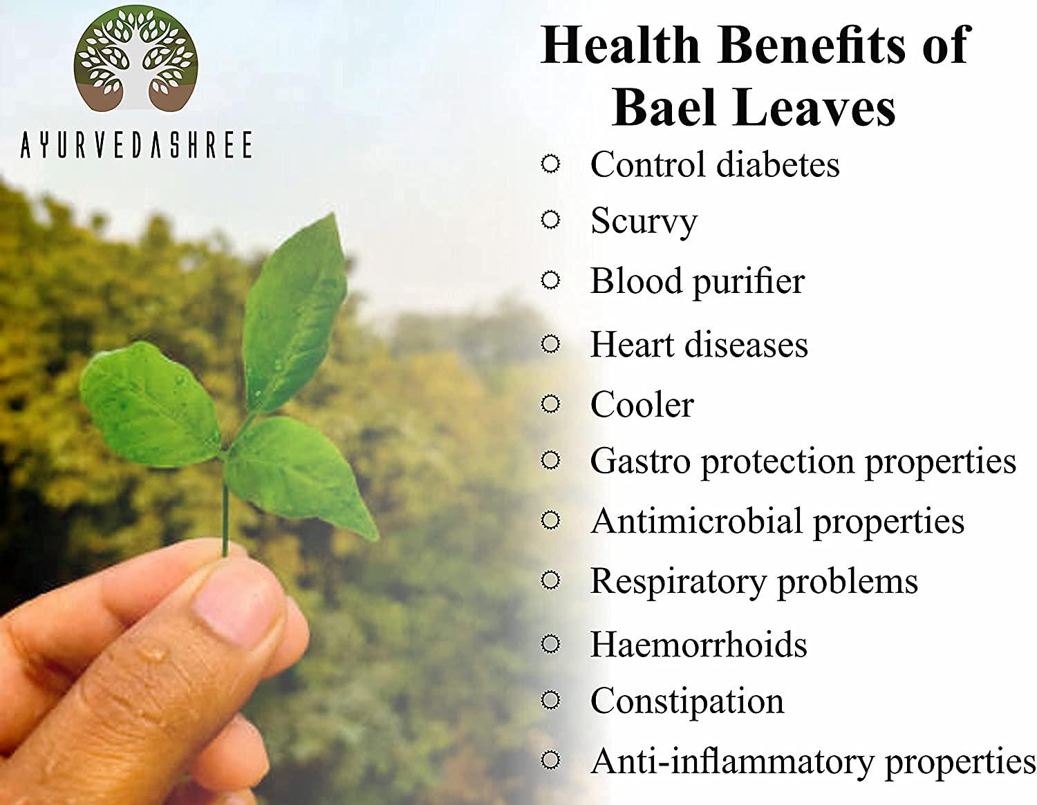 AYURVEDASHREE AYURVEDASHREE Bilva Powder - Bael Leaves Powder - Aegle marmelos - 200 Gm - Supports Proper Function of The Bowels