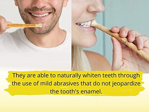 Billion Deals Natural Traditional Miswak (sewak) Peelu Chewing Stick Toothbrush for Whiter Teeth (3)