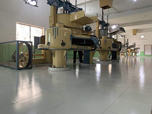 Himalayan Brew Himalayan Brew Green Tea 25 Pc