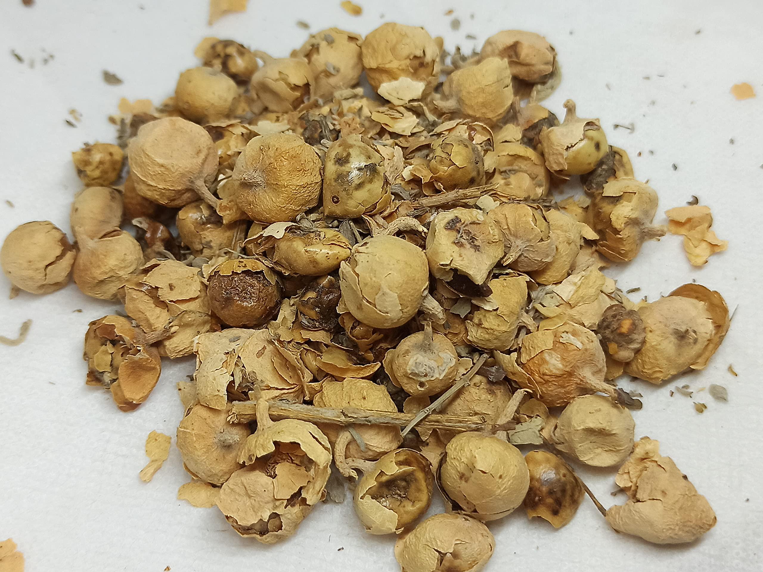 NATURALIFE NATURALIFE\'S-*PANNIR POO*-Indian Rennet Flower Dried I Withania coagulans Dunal I Paneer Poo/ I Paneer Phool/Paneer Doda I Panneru-gadda (250 GRAMS)