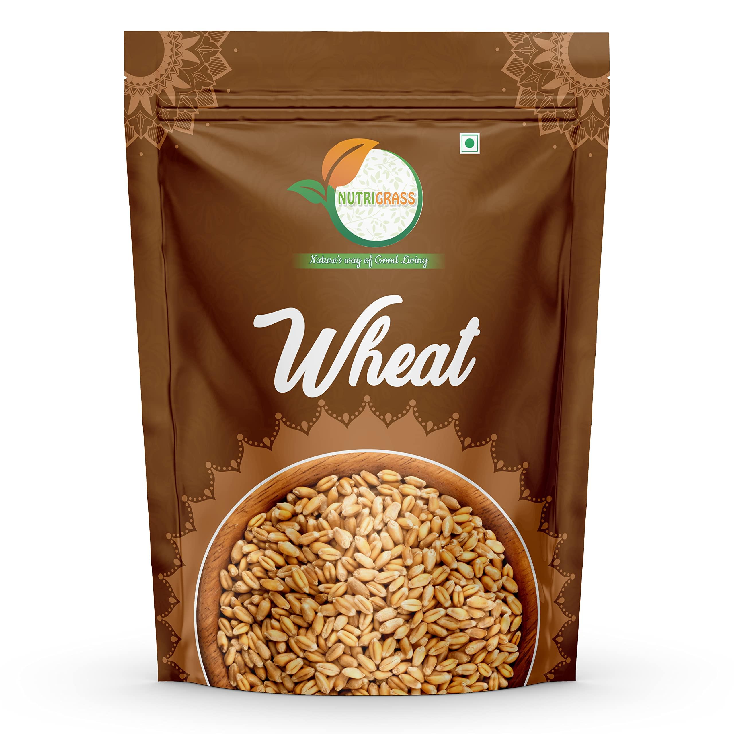 NUTRIGRASS NUTRIGRASS MP Sharbati Wheat Fresh from Farms | No Mixture | No Preservatives| GEHU | Washed and Dried 15KG